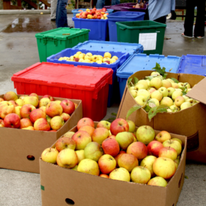 food pantry donation